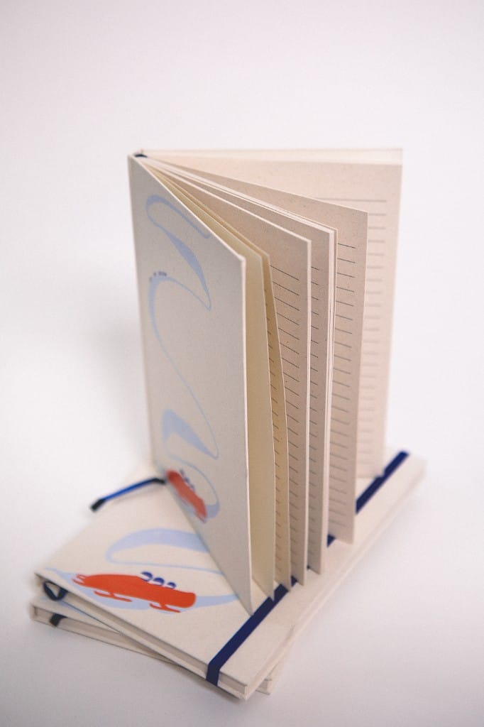 CARNET DANS TON BOBSLEIGH